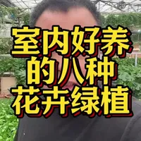 适合室内的花卉绿植#爱生活爱养花 #养花小知识 #室内绿植
