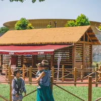 在上海也可以带娃喂奶牛啦🐄光明金山牧场