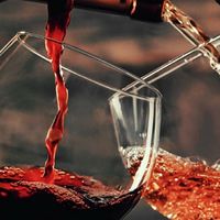 国产红酒和进口红酒怎么选？热门干红实测对比