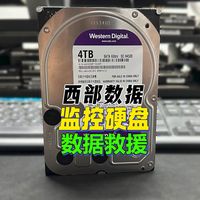 西数监控盘数据恢复，真的别再用Diskgenius扫盘了