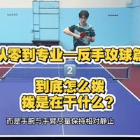 从零到专业反手篇2️⃣反手拨球 如何从反手推球过渡到反手拨球?这期将解开你对于反手拨的疑问。请大家多多点赞关注评论转发。下一期我们会讲解反手的常用步伐,敬请期待