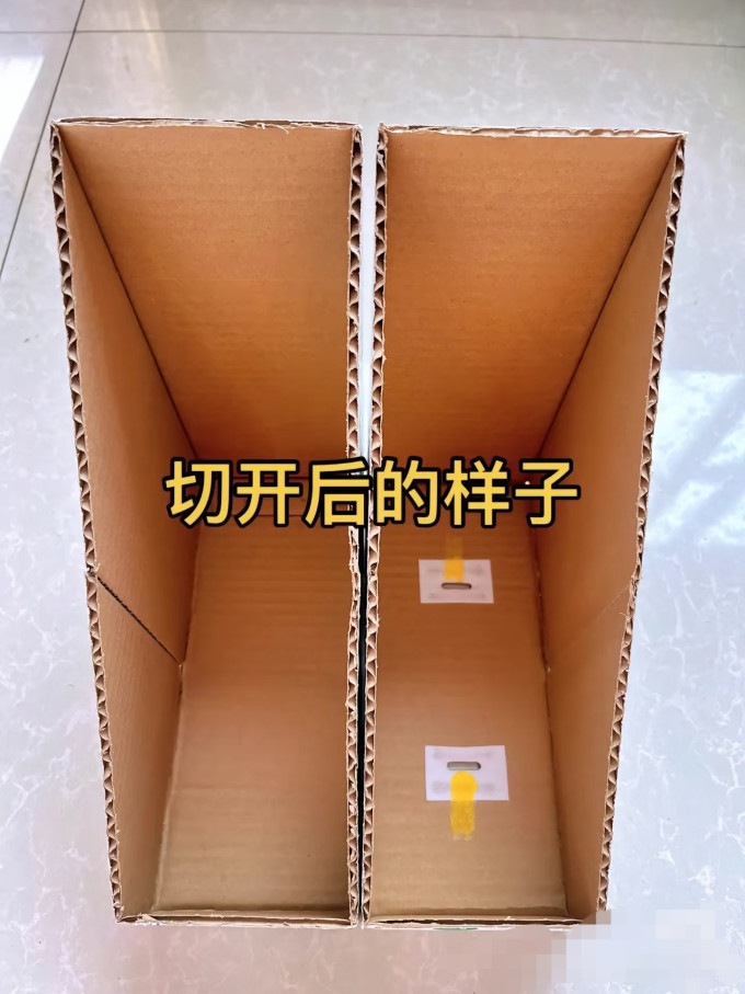 得力书立