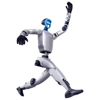 2026，机器人元年