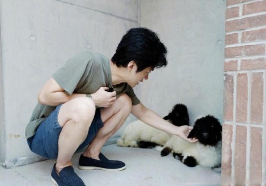 李健为流浪猫发声:不是作秀,是把“责任”两个字说透了