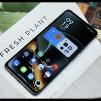 LCD还在卖，价格跌破1300，摩托罗拉悄悄守着一群不换屏的人