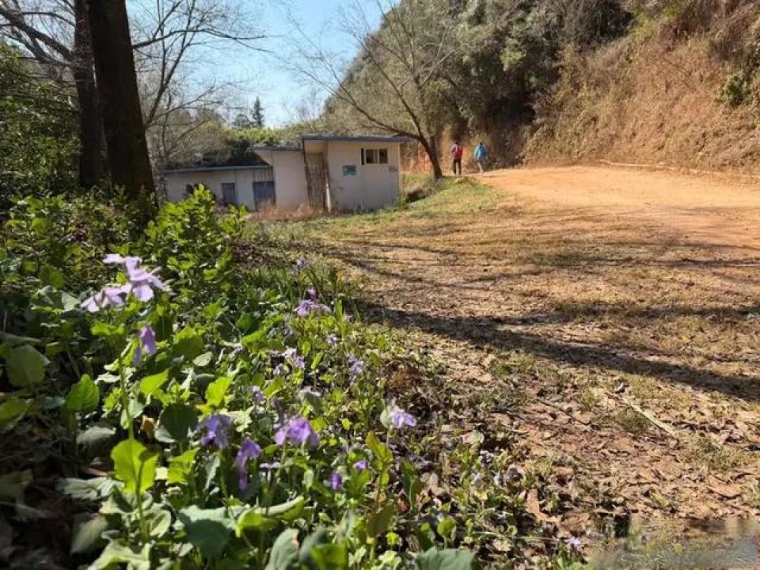 走双龙小环线，远观昆明机场新跑道建设，我们用一场徒步欢乐迎春