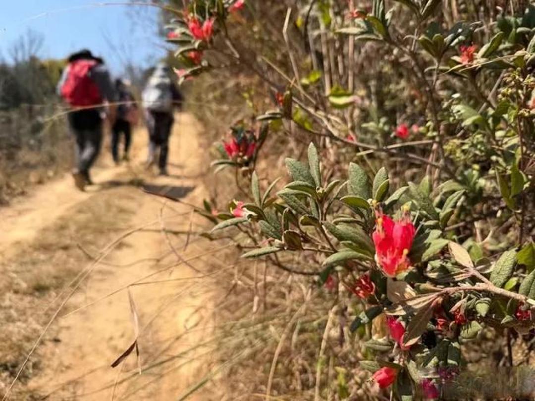 走双龙小环线，远观昆明机场新跑道建设，我们用一场徒步欢乐迎春