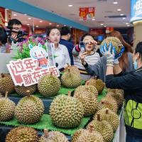 海南首批“岛民免税”店小年开业！排队“抢”榴莲盛况再现