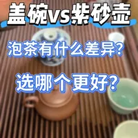茶器知识大盘点之盖碗和紫砂壶怎么选？ 刷到这条视频的茶友，大概率都刷到过100条选择盖碗还是紫砂壶的视频了。今天周周也来和大家聊聊这个经典的问题。经过我多次使用同样的茶用两者对比冲泡，今天不聊“好不好洗”、“烫不烫手”这些废话，咱们直接把盖碗和紫砂壶泡茶呈现的区别以及如何选择给大家说清楚。#召唤茶友 #召唤壶友 #盖碗 #紫砂壶 #茶器之美