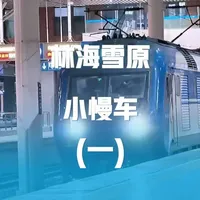 林海雪原公益慢火车之旅(1)☞当"小慢车"与"林海雪原"相遇,速度与诗意如此和谐!#中国铁路 #铁道线上的中国 #我的铁路风景 #火车迷 #绿皮火车 @中国铁路 @宋晓峰