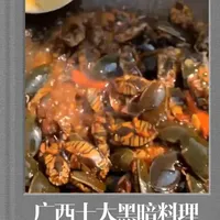 第二十二集，舌尖上的中国美食，广西十大黑暗料理#这是真正的硬菜 #你能叫出它的名字吗