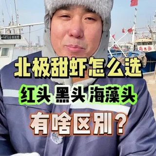 北极甜虾到底应该怎么选？红头、黑头、海藻头，有什么区别？#北极甜虾 #海鲜 #一般人不告诉他 #渔民日常