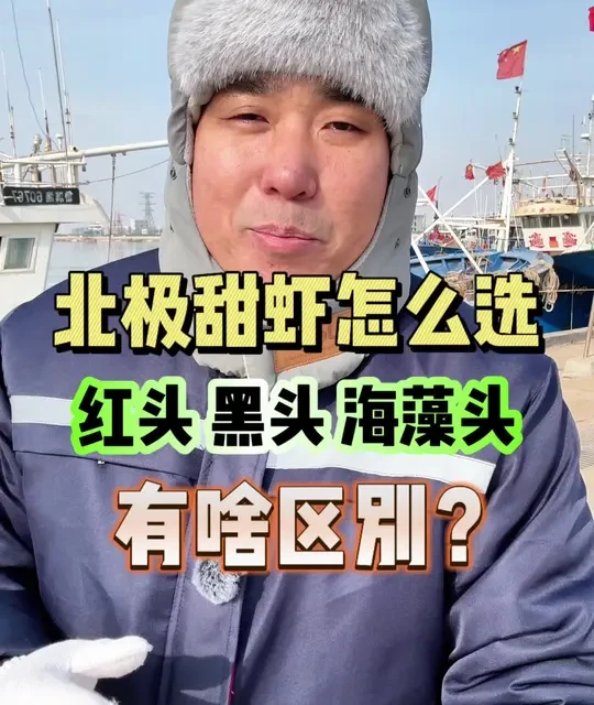 北极甜虾到底应该怎么选？红头、黑头、海藻头，有什么区别？#北极甜虾 #海鲜 #一般人不告诉他 #渔民日常