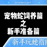 想养宠物蛇的宝宝们，给大家带来一期新手到家该如何饲养的小教程来啦#玉米蛇 #宠物蛇的日常