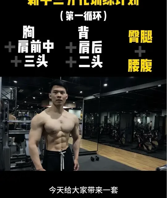 最适合新手的三分化训练计划，第三天臀腿➕腰腹，超详细讲解-直接跟练#健身 #三分化健身计划#健身教学 #新手健身计划