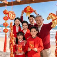 2024年货节数据显示传统年节零食占比跌破30%，健康化、情绪价值与轻量化成新消费主流