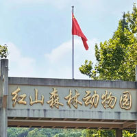 12月13/14日南京红山森林动物园|别再去普通动物园了！这座 “动物天堂” 才是中国动物园的天花板！