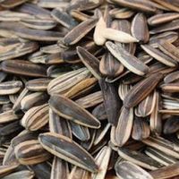 过年嗑瓜子一时爽，吃多真的伤身？热销瓜子真实测评