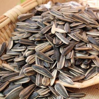 过年嗑瓜子一时爽，吃多真的伤身？热销瓜子真实测评
