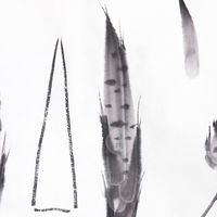 国画零基础教程-三种竹笋的画法