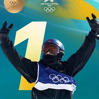 苏翊鸣的成功是否意味着单板滑雪装备必须全面升级？1000+用户观点大PK