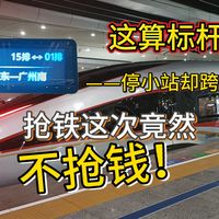 时刻表不错，广铁竟然不抢钱？停小站却跨越大站！？京广高铁本线车G533次（武汉-广州南）运转体验