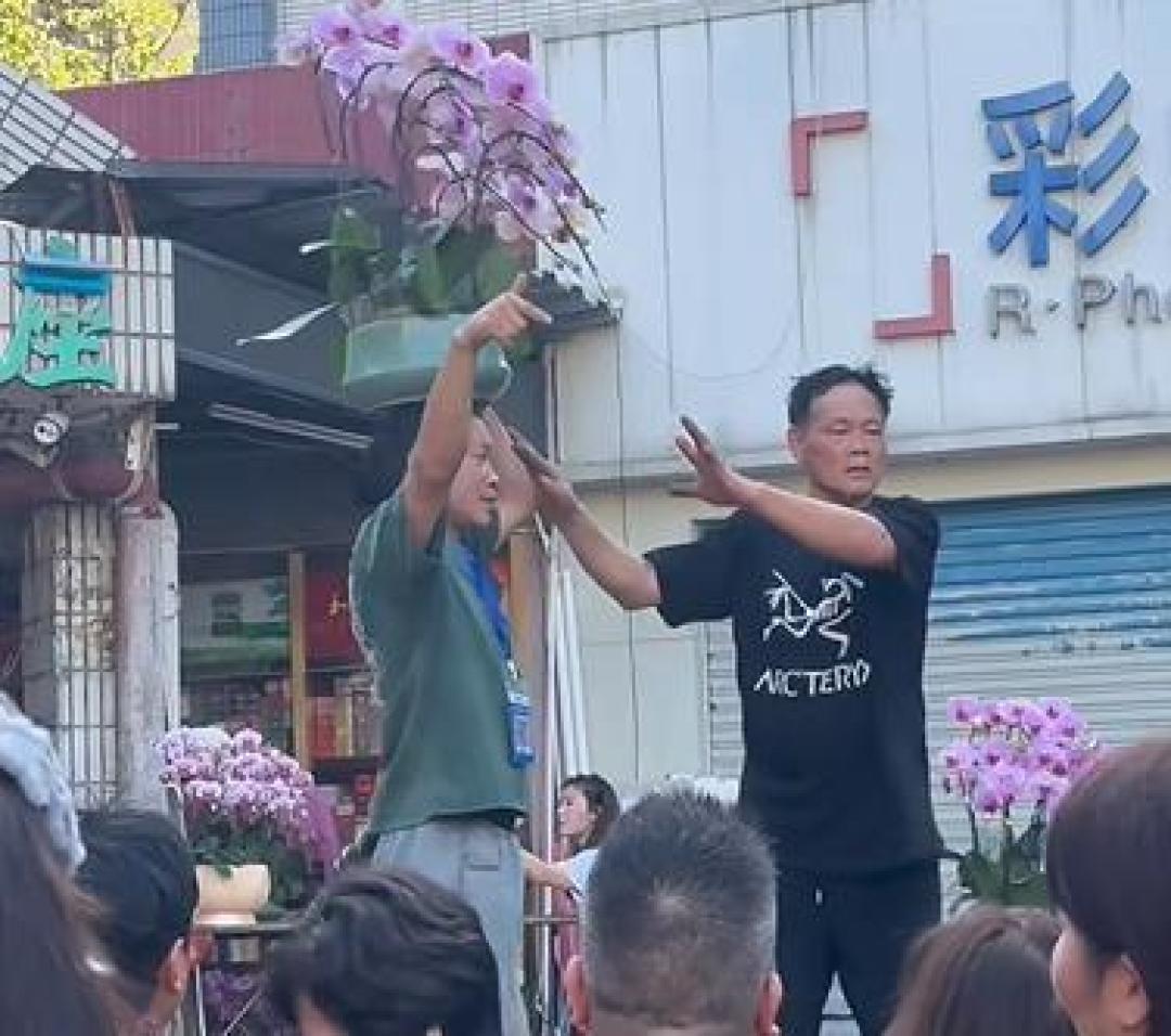 深圳花店“反向拍卖”火了:蝴蝶兰从250元喊到120元成交