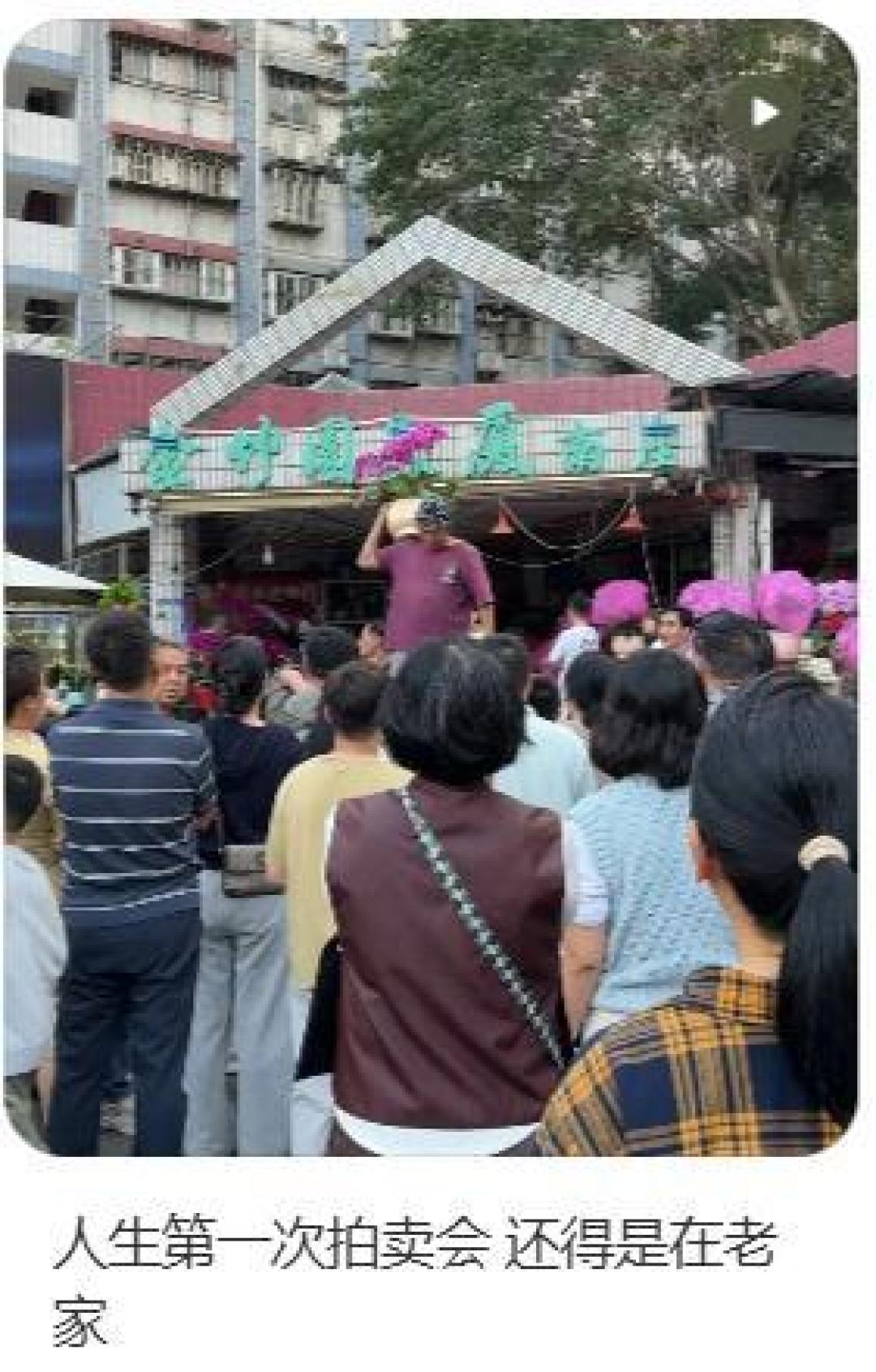 深圳花店“反向拍卖”火了:蝴蝶兰从250元喊到120元成交