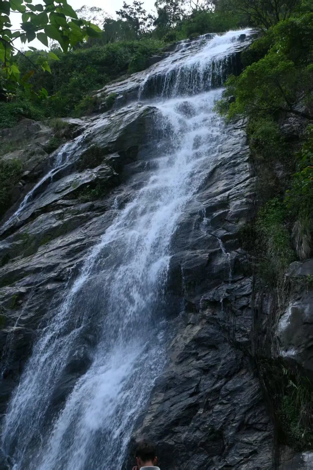探幽百花岭,雨林寻踪绘就未来农业新图景