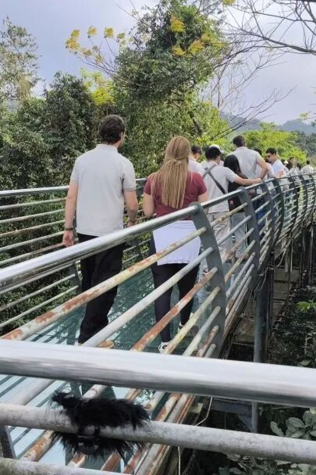 探幽百花岭,雨林寻踪绘就未来农业新图景