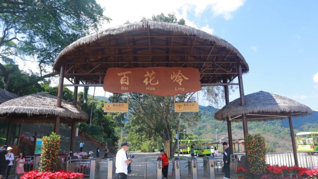 百花岭热带雨林游记:一场不慌不忙的雨林漫步