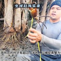 职业抓蟹人全程实拍：抓五十斤青蟹王什么体验，过瘾停不下来