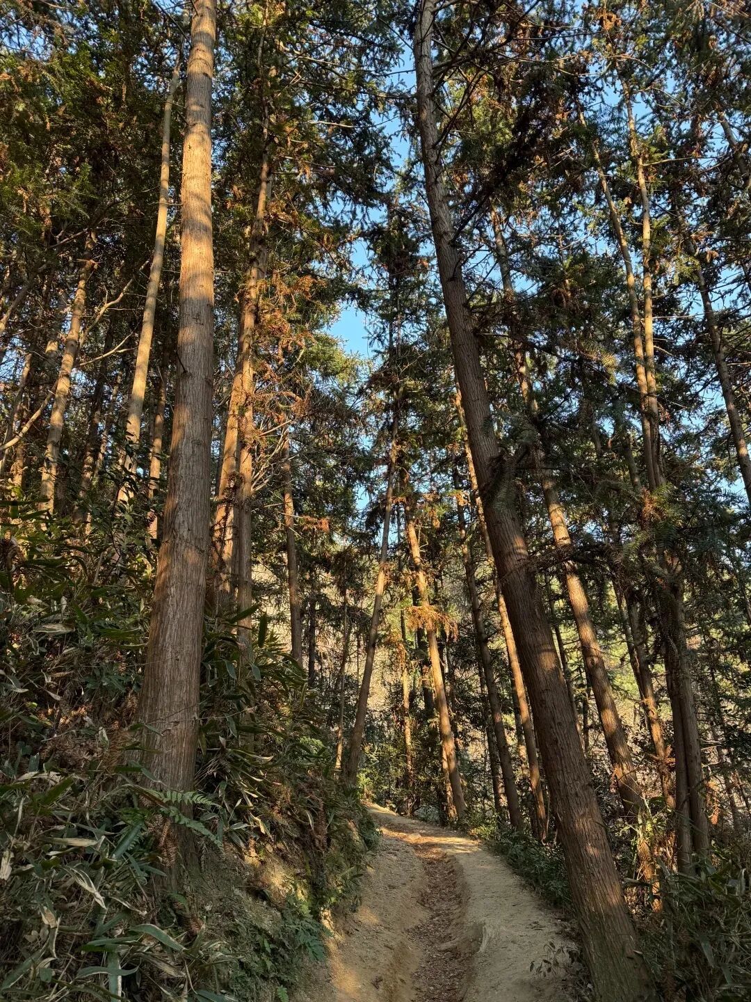 马年第一场徒步,安排!