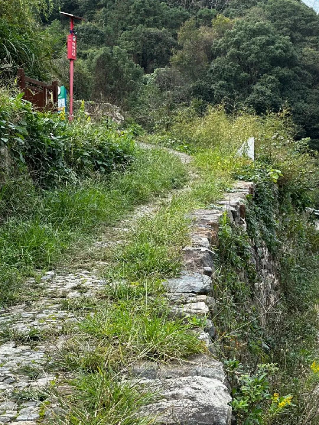宁波这5条神仙徒步路线,太美了!