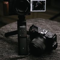 永诺做了个“四大皆控”