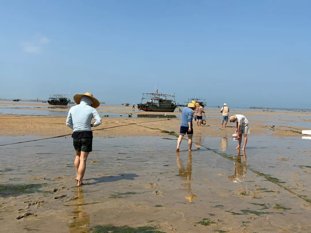 湛江沿海乡镇—沉浸式赶海
