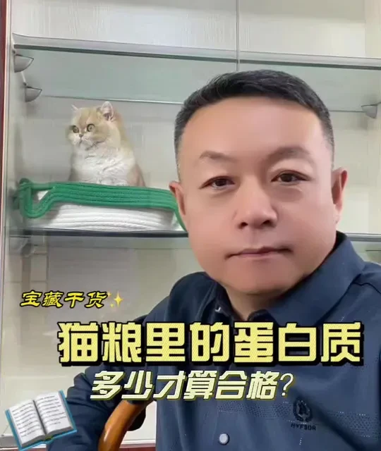 过~高蛋白猫粮等于谋财+害命 适当的蛋白含量才是王道#猫叔课堂#高蛋白猫粮#猫粮 #猫粮推荐 #猫粮测评 #猫粮推荐性价比高排行榜