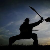 抓住了“内外三合”“缠丝劲”“劲力连贯”三个核心要点，快速领悟太极拳整劲精髓