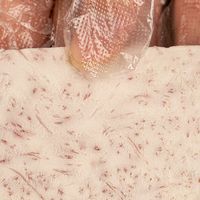 2026年这些芋头品牌，满足家庭与朋友零食需求的全能选择