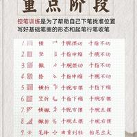 硬笔书法正确流程：从0基础到自成风格，少走弯路
