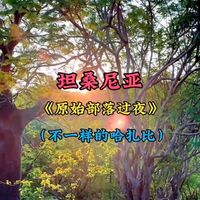 本期内容：(原始部落过夜)(又见村花)(给他们吃方便面自嗨锅)(部落没有电的夜生活)(清晨狩猎)(非洲最后合法的打猎部落哈扎比) #交换世界计划 #青年创作者成长计划 #环球旅行 #记录旅行时光