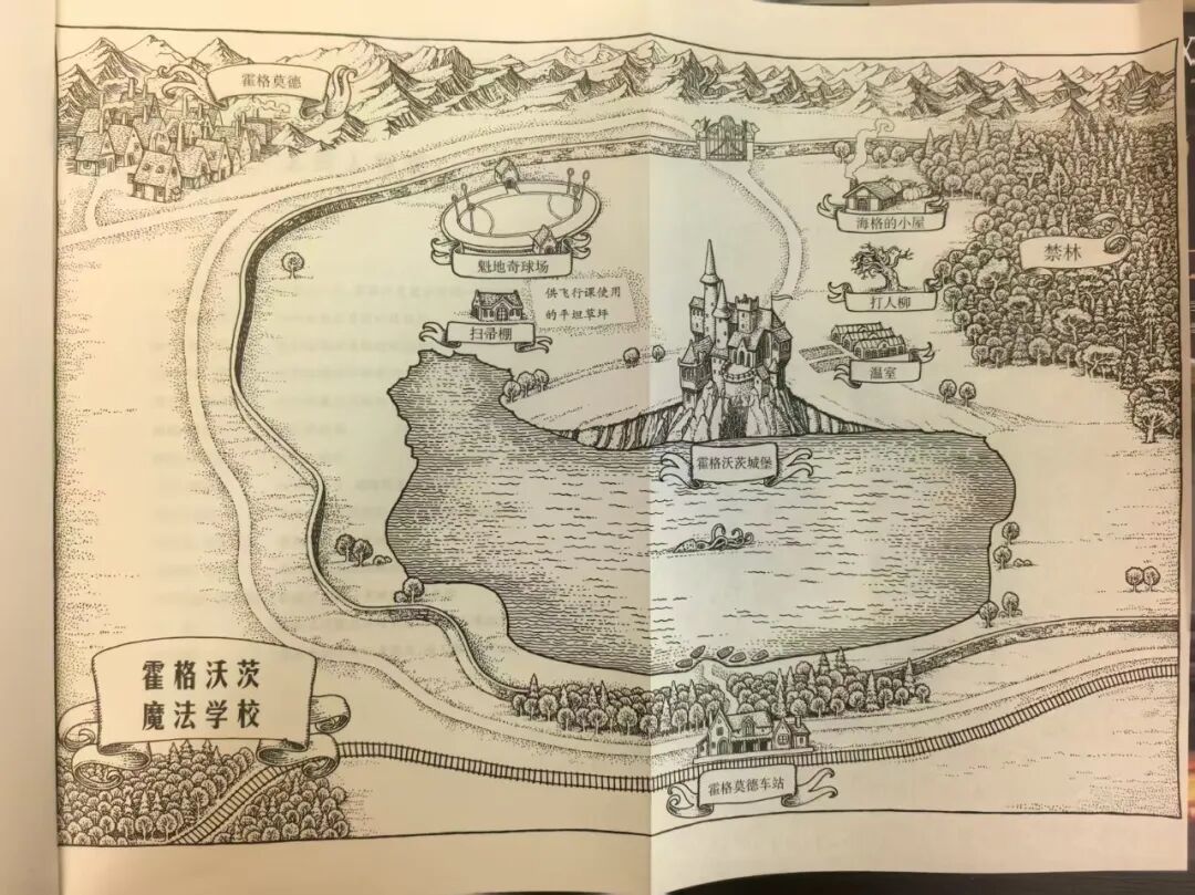 【学生分享】《哈利·波特》:以魔法冒险编织成长史诗,用勇气与爱照亮平凡人心中的英雄梦