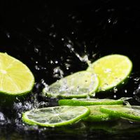 治愈系香水，从夯到拉一个视频说清楚！#从夯到拉 #情感共鸣 #香水推荐 #香水控 #吃货日常