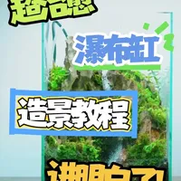 超治愈的瀑布流水缸【制作教程】 缸体尺寸：25cm*25cm*35cm
骨架石头：火山石+松皮石
苔藓品种：小灰藓、薄壁卷柏藓
绿植品种：水冷花、翠云草
#瀑布缸 #生态水陆缸 #水陆缸 #微景观 #流水生态循环