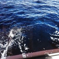 电视尺寸之争：大屏沉浸感VS小屏舒适度，1000+用户观点大碰撞