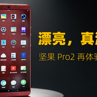 漂亮，真漂亮：坚果 Pro 2 再体验