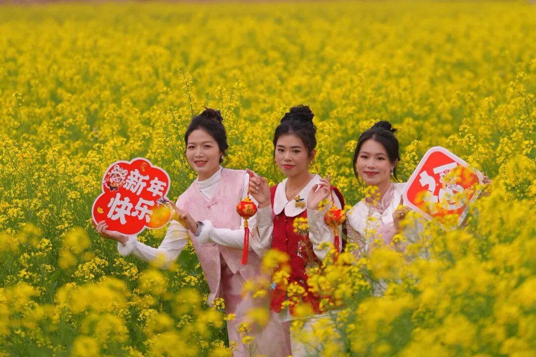 年味爆燃!马年这样玩才过瘾!年俗活动、逛花海、非遗美食、优惠一站配齐丨马上游白坭 幸福再加码⑪