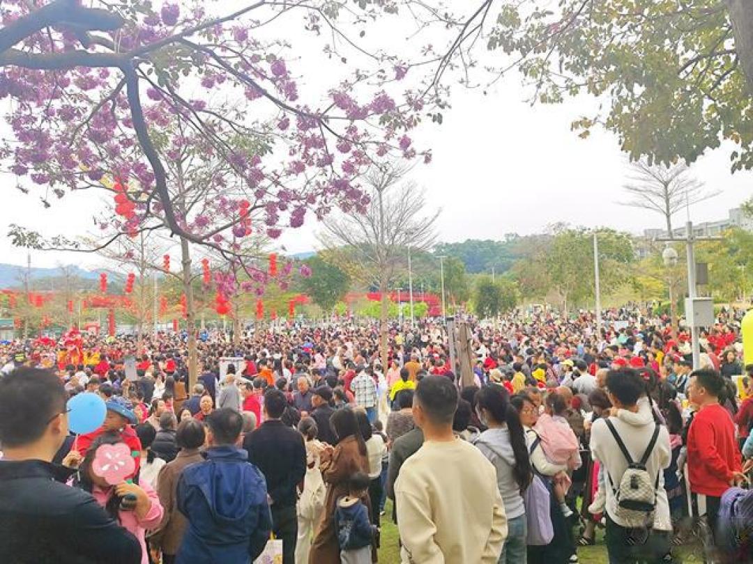 深圳的年味2 年初一 醒狮·马头琴·布马舞