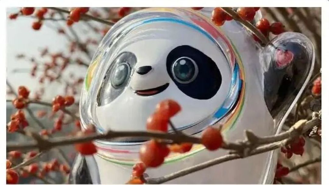 国际奥委会主席捧在手心的这只“熊猫”，依旧是顶流！