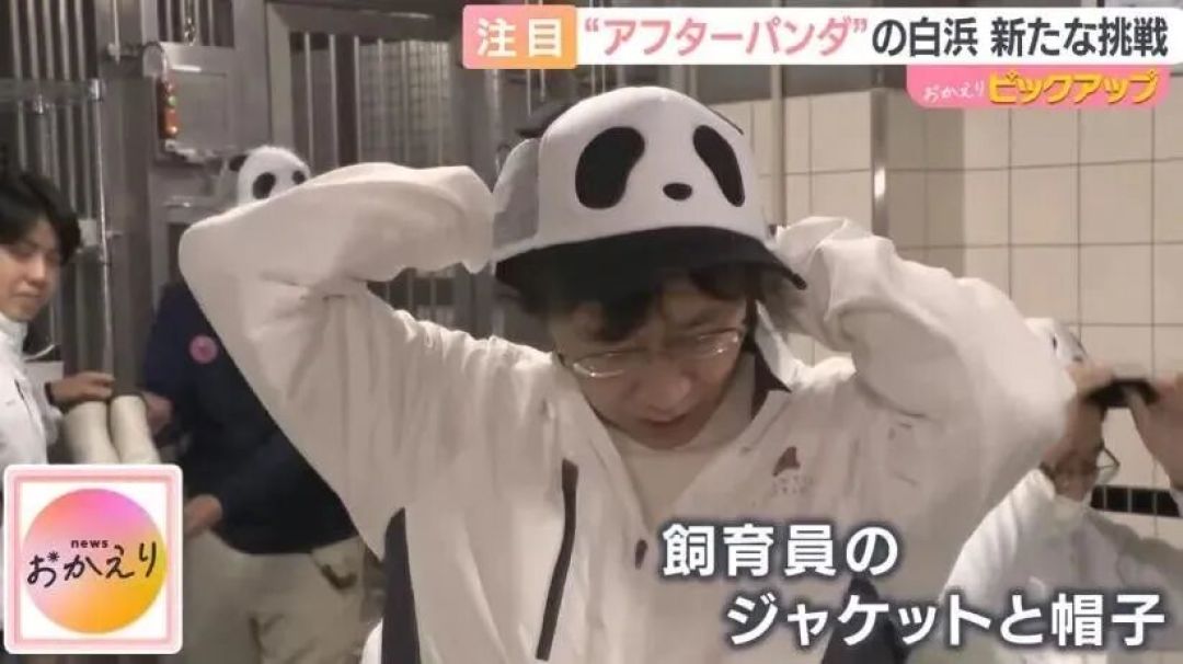 日本熊猫归还后,动物园出“魔幻操作”:游客花钱当饲养员,工作人员扮熊猫!网友:这体验太抽象了…